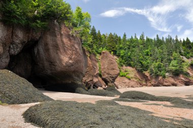 Hopewell kayalar gelgit, fundy Körfezi, Kanada