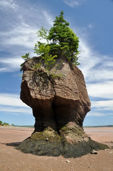 Hopewell Rocks na maré baixa, Fundy Bay, Canadá — Fotografia de Stock