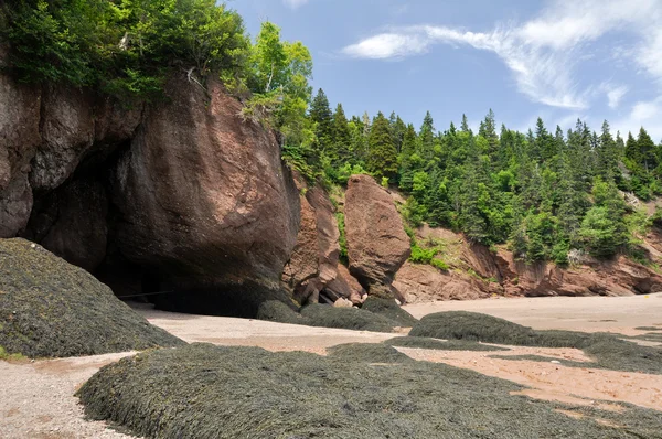 Hopewell Rocks at low tide, Fundy bay, Канада — стоковое фото