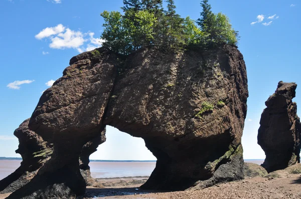 Hopewell Rocks con bassa marea, Fundy bay, Canada — Foto Stock
