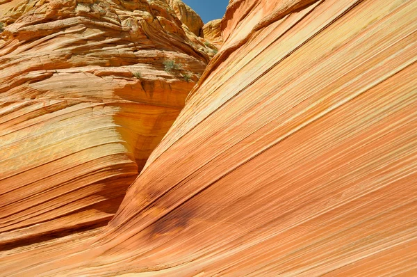The Wave, Curva de arenisca, Arizona — Foto de Stock