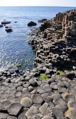 Giant 's Causeway, County Antrim, Kuzey İrlanda