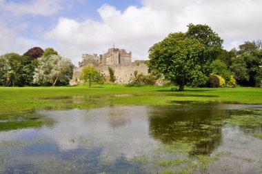 Cahir castle in county Tipperary, Ireland clipart