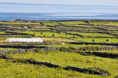 İrlandalı peyzaj, Inishmore, İrlanda aran Islands