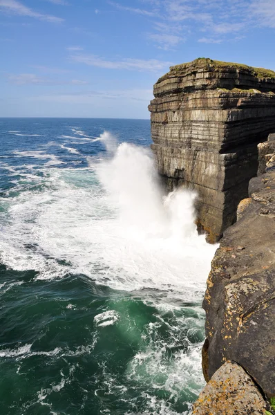 Lus hoofd kliffen, Ierland — Stockfoto