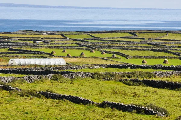 Irská krajina, inishmore, Aranskými ostrovy v Irsku — Stock fotografie