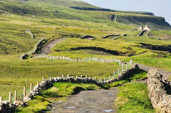 İrlandalı peyzaj, co. clare