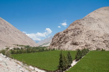 Elqui Vadisi, Şili