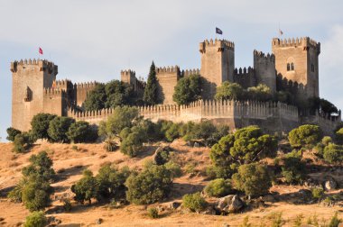 Almodovar del rio Kalesi, İspanya