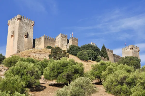 Almodovar del rio Kalesi, İspanya — Stok fotoğraf