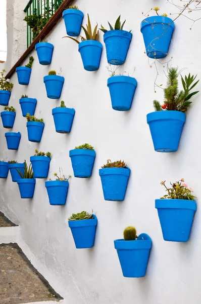 Flowerpots in an Andalusian town — Stock Photo, Image