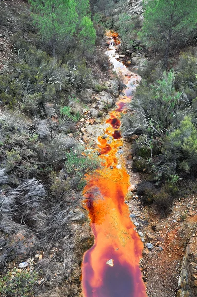 Fonte del fiume Tinto, Andalusia (Spagna) ) — Foto Stock