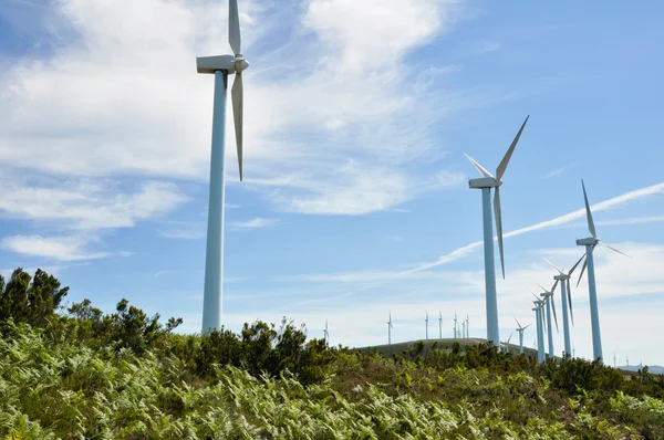 Eolian generators (Basque Country) — Stock Photo, Image