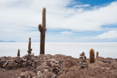 salar de uyuni, Bolivya Incahuasi Adası
