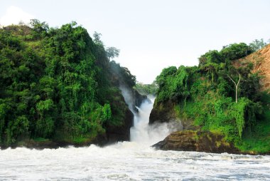 Murchison victoria Nil, Kuzey uganda düşüyor