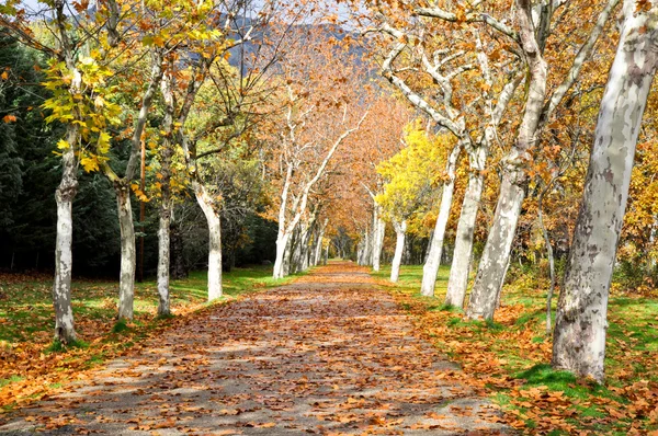 Jardines de San Lorenzo de El Escorial, Madrid — Foto de Stock