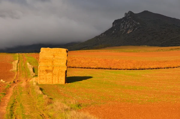 Bales of hay stacked in the countryside, Navarre (Spain) — Stock Photo, Image