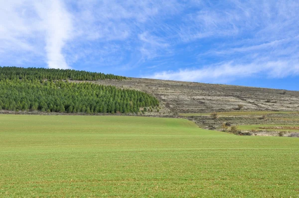 Castiliaans landschap op winter, Spanje — Stockfoto