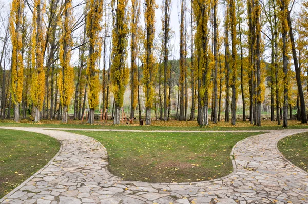 Parque cerca del río Duero en Soria (España) ) —  Fotos de Stock