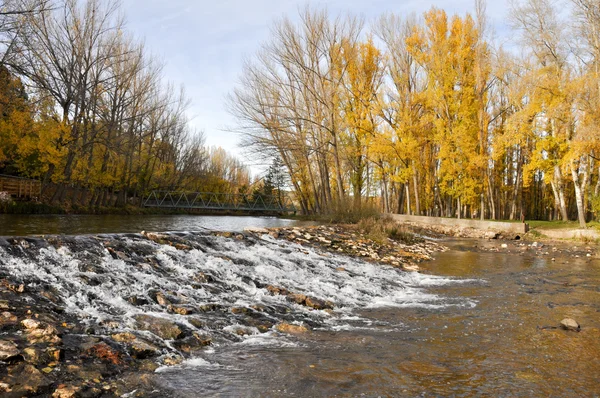 Río Duero en Soria (España) ) — Foto de Stock