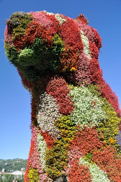Цветочная собака в Бибао, Испания — стоковое фото