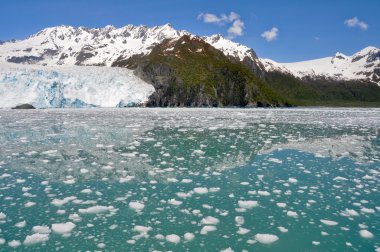 aialik Buzulu, kenai fjords np, alaska