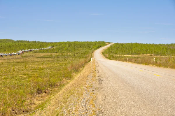Dalton highway, polar regionen i alaska — Stockfoto