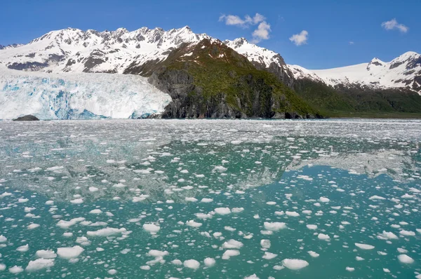 Aialik lodowiec, np fiordy kenai, alaska — Zdjęcie stockowe