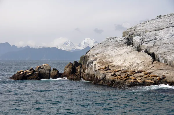 Baie de la Résurrection en Alaska — Photo