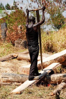 Kuzey Zambiya bir marangoz