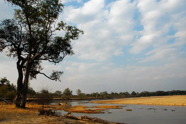 Parque Nacional de Lwanga del Norte (Zambia ) — Foto de Stock