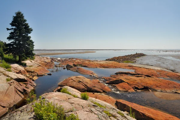 Maré baixa em North Shore, Quebec (Canadá ) — Fotografia de Stock