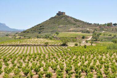 davalillo Kalesi, la rioja (İspanya yakınındaki üzüm bağları)