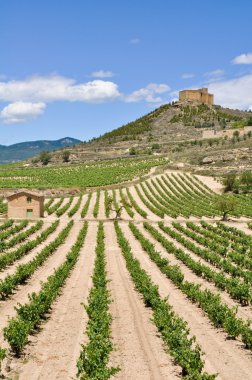 davalillo Kalesi, la rioja (İspanya yakınındaki üzüm bağları)