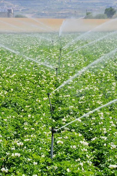 Irrigatori per irrigazione in un campo agricolo (Spagna ) — Foto Stock