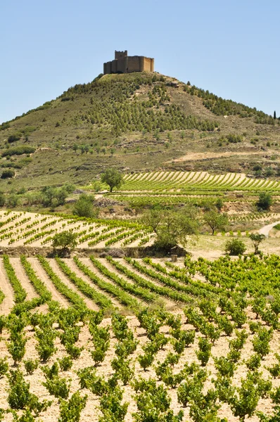 Davalillo Kalesi, la rioja (İspanya yakınındaki üzüm bağları) — Stok fotoğraf