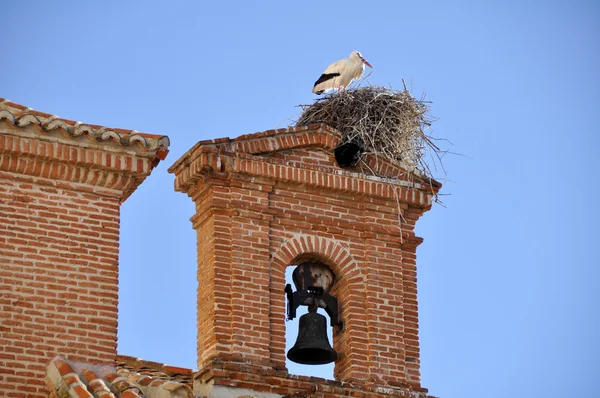 Bocian biały na dzwonnicy, alcala de henares, Madryt (Hiszpania) — Zdjęcie stockowe