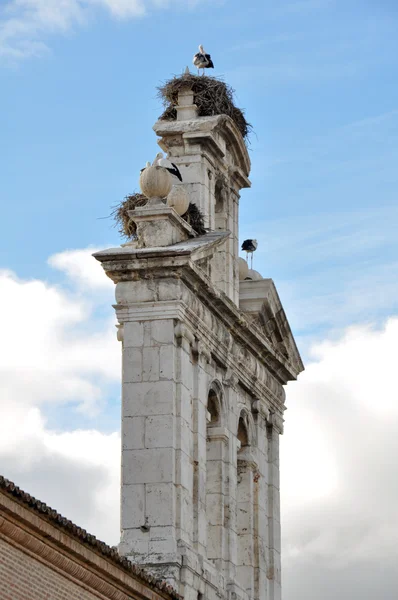 Zvonice kaple San Ildefonso College. Alcala de Henares (Madrid) — Stock fotografie