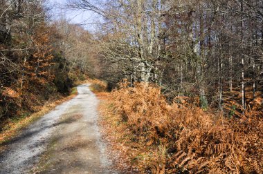 gorbea dağ, Bask Ülkesi (İspanya yolu)