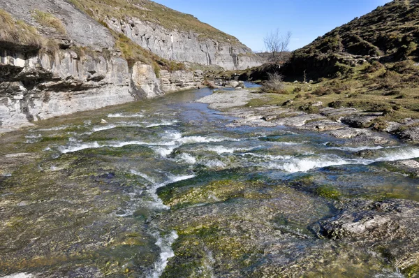 Sumber sungai Nervion, Utara Spanyol — Stok Foto