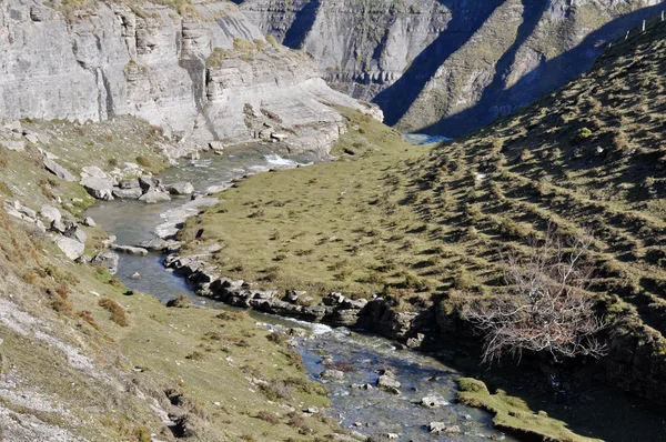 Nervion river source, North of Spain — Stock Photo, Image