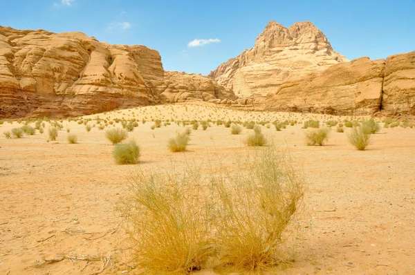 Wadi Rums öken, jordan — Stockfoto