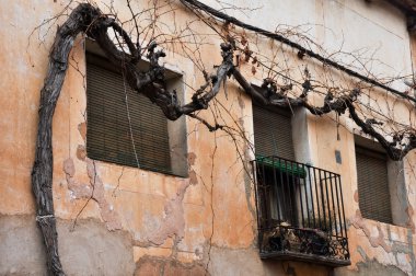 rustik bir ev, segovia (İspanya'nın)