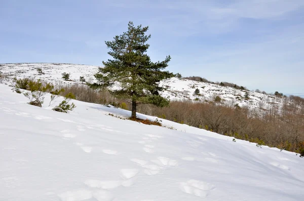 Gorbea Berg im Winter, Baskenland (Spanien) — Stockfoto