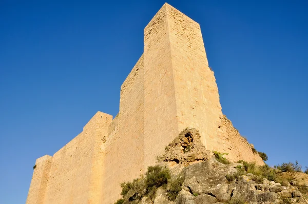 Castle of Miravet, Tarragona (Spain) — Stock Photo, Image