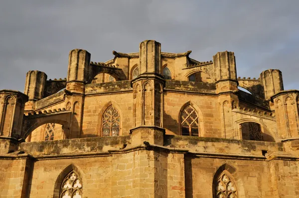 Kathedraal Tortosa, tarragona (Spanje) — Stockfoto