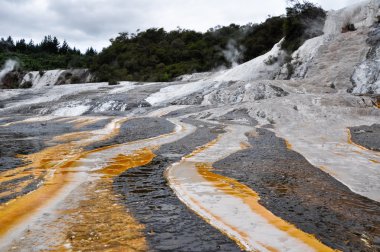 orako korakei jeotermal park Rotorua, Yeni Zelanda