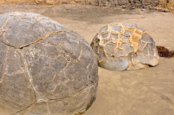 Moeraki Boulders, Nueva Zelanda —  Fotos de Stock