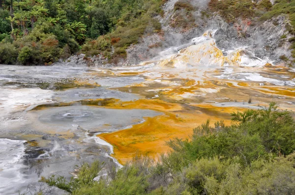 Parque geotérmico Orako Korakei em Rotorua, Nova Zelândia — Fotografia de Stock