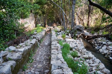 The Ancient Ruins of Olympos, Turkey clipart